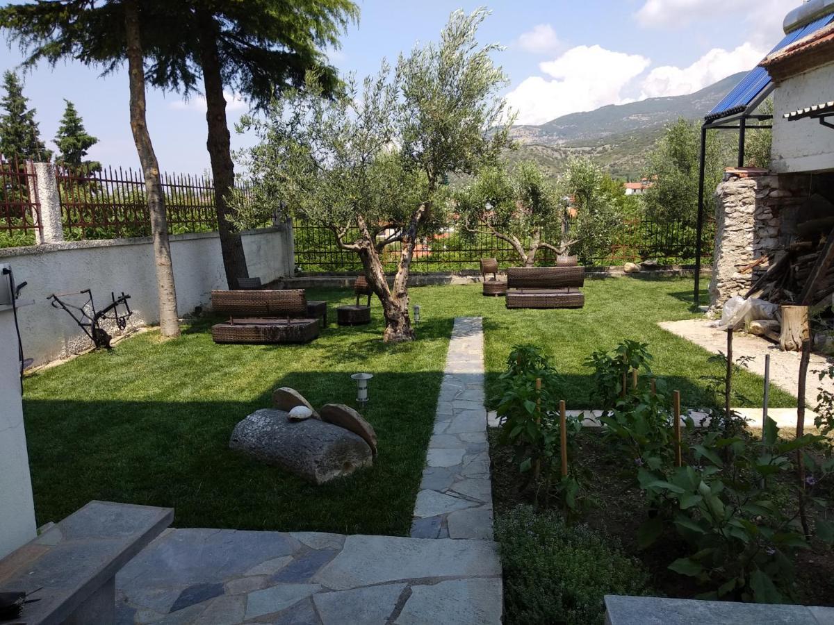 Villa Agnanti Apts And Suites Agio Pnevma Bagian luar foto