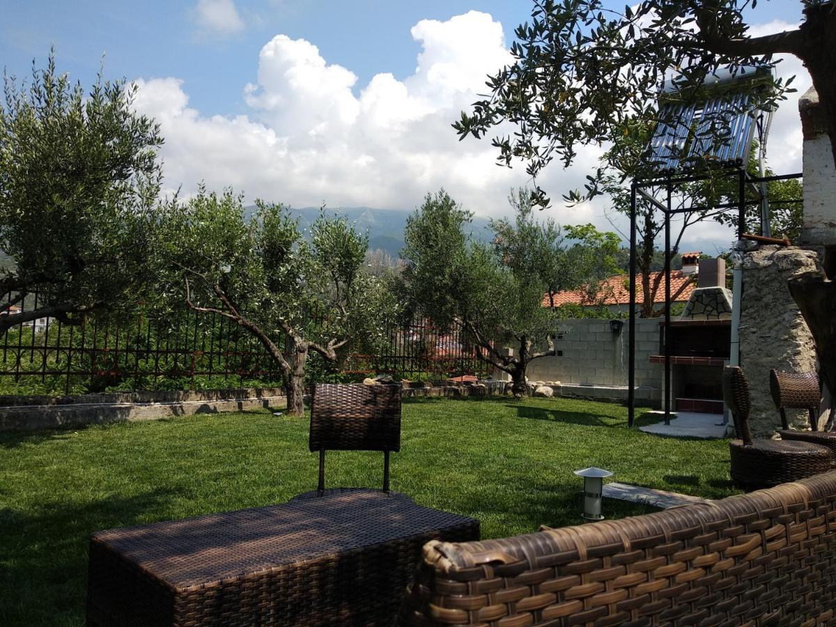 Villa Agnanti Apts And Suites Agio Pnevma Bagian luar foto
