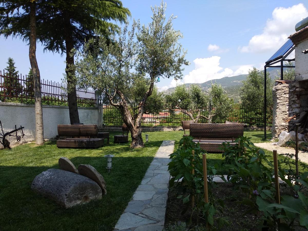 Villa Agnanti Apts And Suites Agio Pnevma Bagian luar foto